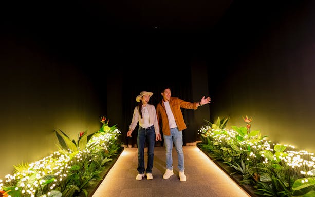Couple exploring interactive nature elements at Enchanted Forest indoor experience.