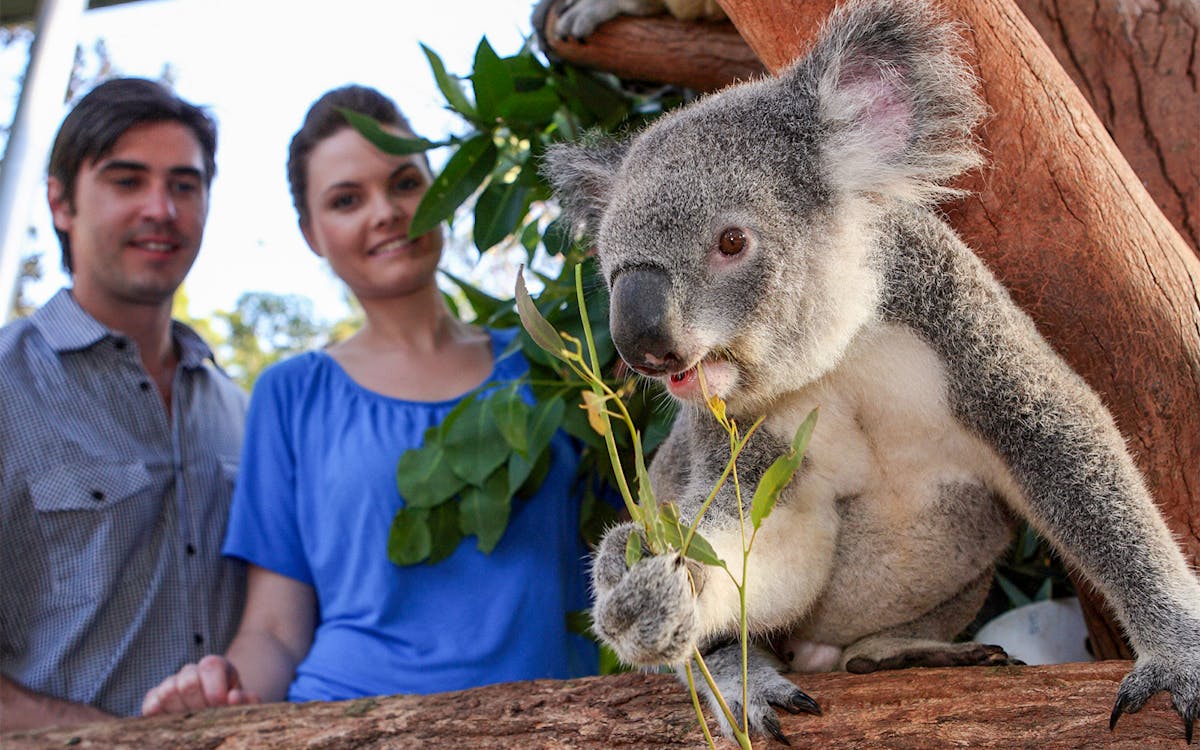 go city sydney explorer pass: choose 2 to 7 attractions-16 go city sydney explorer pass: choose 2 to 7 attractions-16