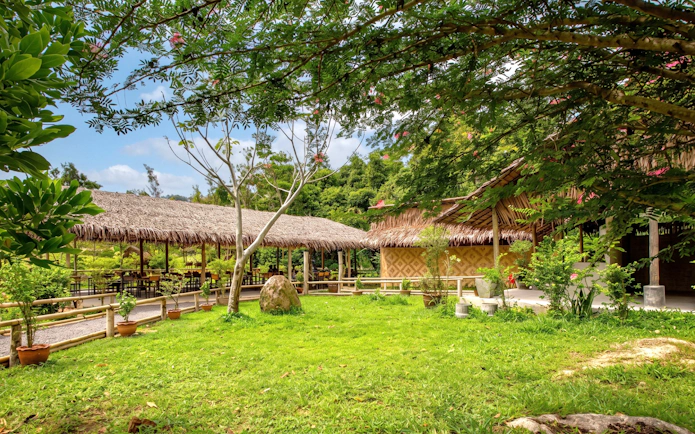 Thatched-roof huts in a lush garden at Phuket's Ethical Elephant Nature Park.