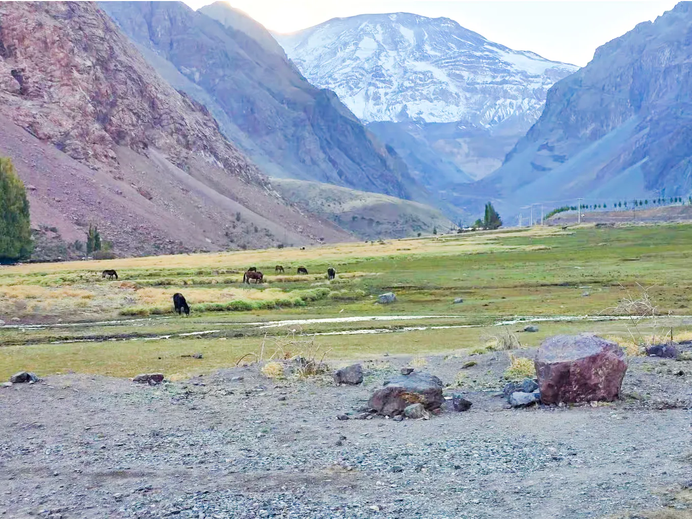 Horses grazing in a valley with mountains in Cajon del Maipo, near Termas Baños Colina, Santiago.