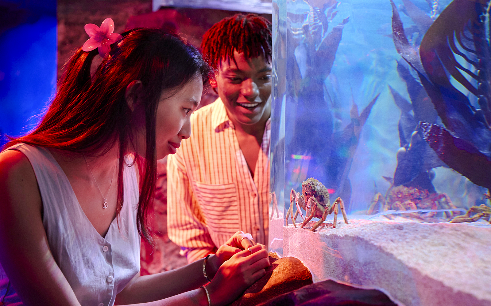 Visitors observing crabs in an aquarium at Sea Life Melbourne.