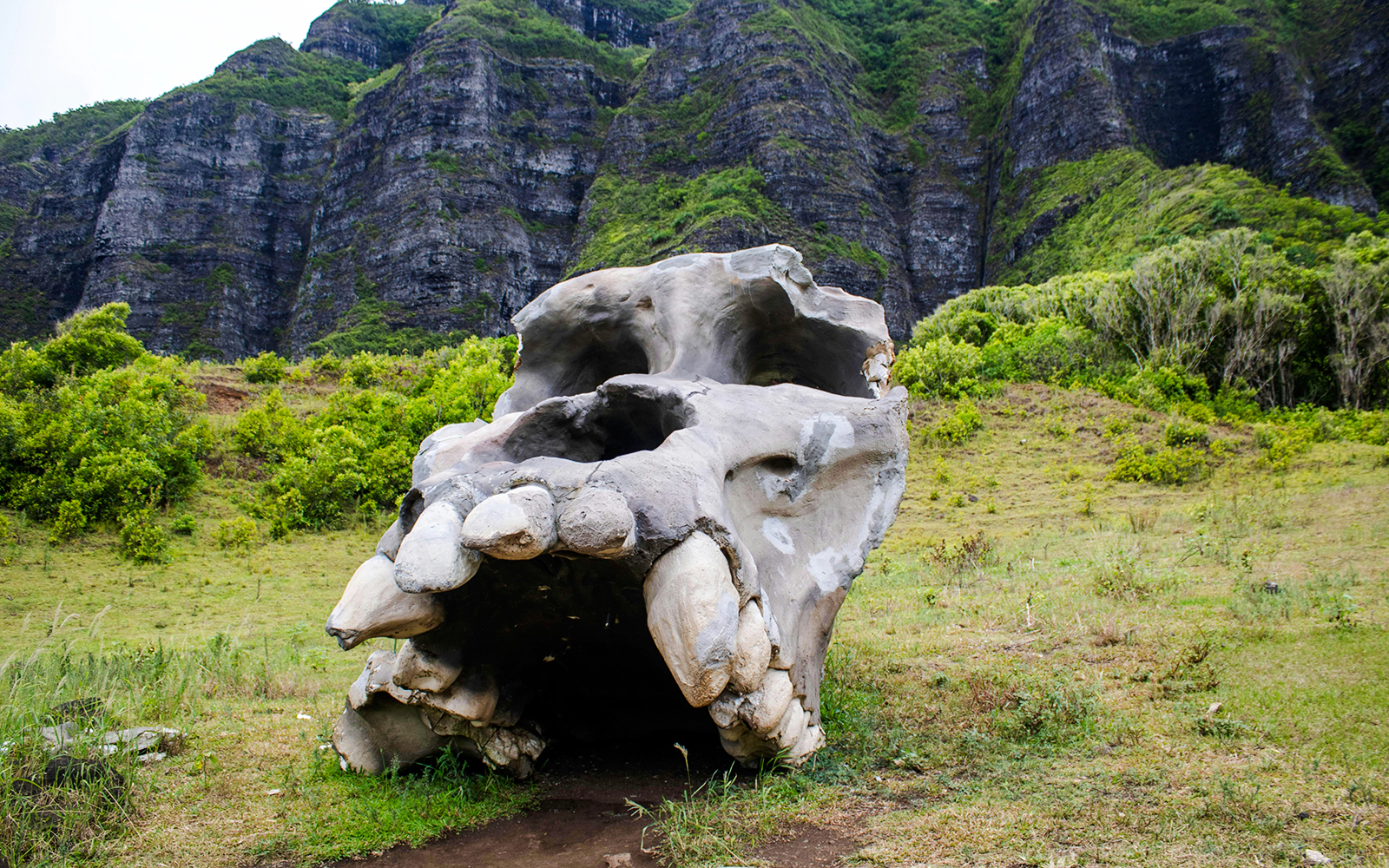 Large skull sculpture at Kualoa Ranch, Hawaii with lush green mountains in the background.