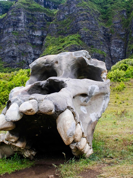 Large skull sculpture at Kualoa Ranch, Hawaii with lush green mountains in the background.