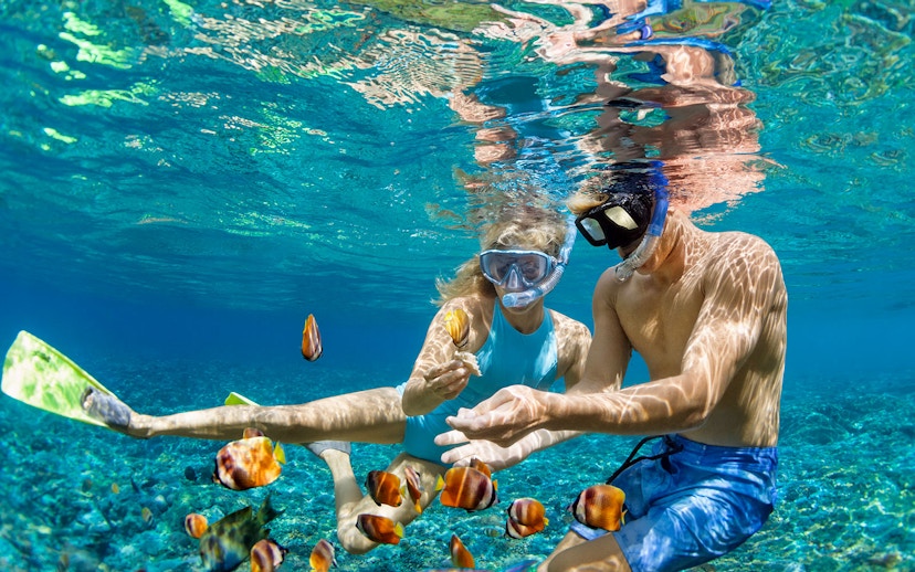 Tourists snorkeling among colorful fish in clear waters of Great Barrier Reef during Cairns cruise.