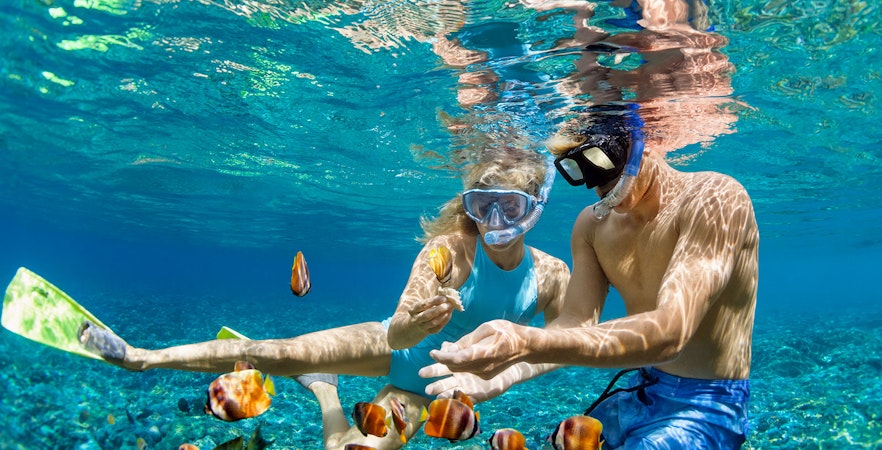 Tourists snorkeling in clear blue waters of Great Barrier Reef during full-day cruise from Cairns.