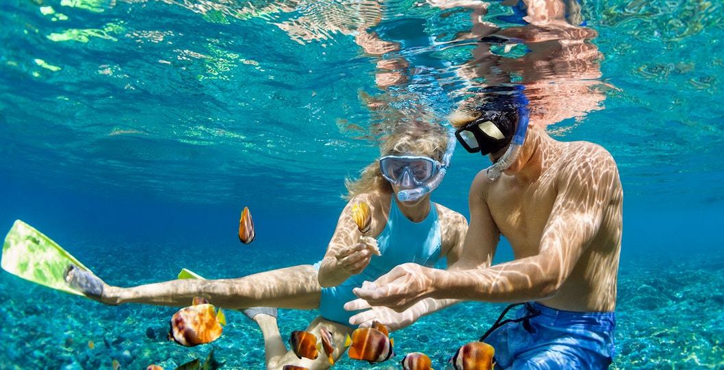 Tourists snorkeling in clear blue waters of Great Barrier Reef during full-day cruise from Cairns.