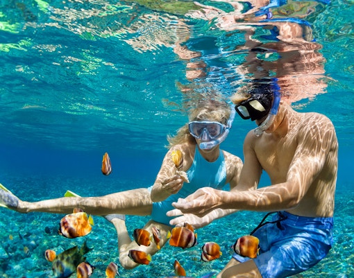 Tourists snorkeling among colorful fish in clear waters of Great Barrier Reef during Cairns cruise.