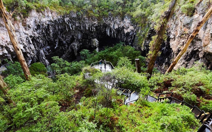 Walkway leading to lush Margaret River Caves surrounded by dense greenery.