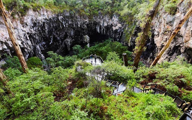 Walkway leading to lush Margaret River Caves surrounded by dense greenery.