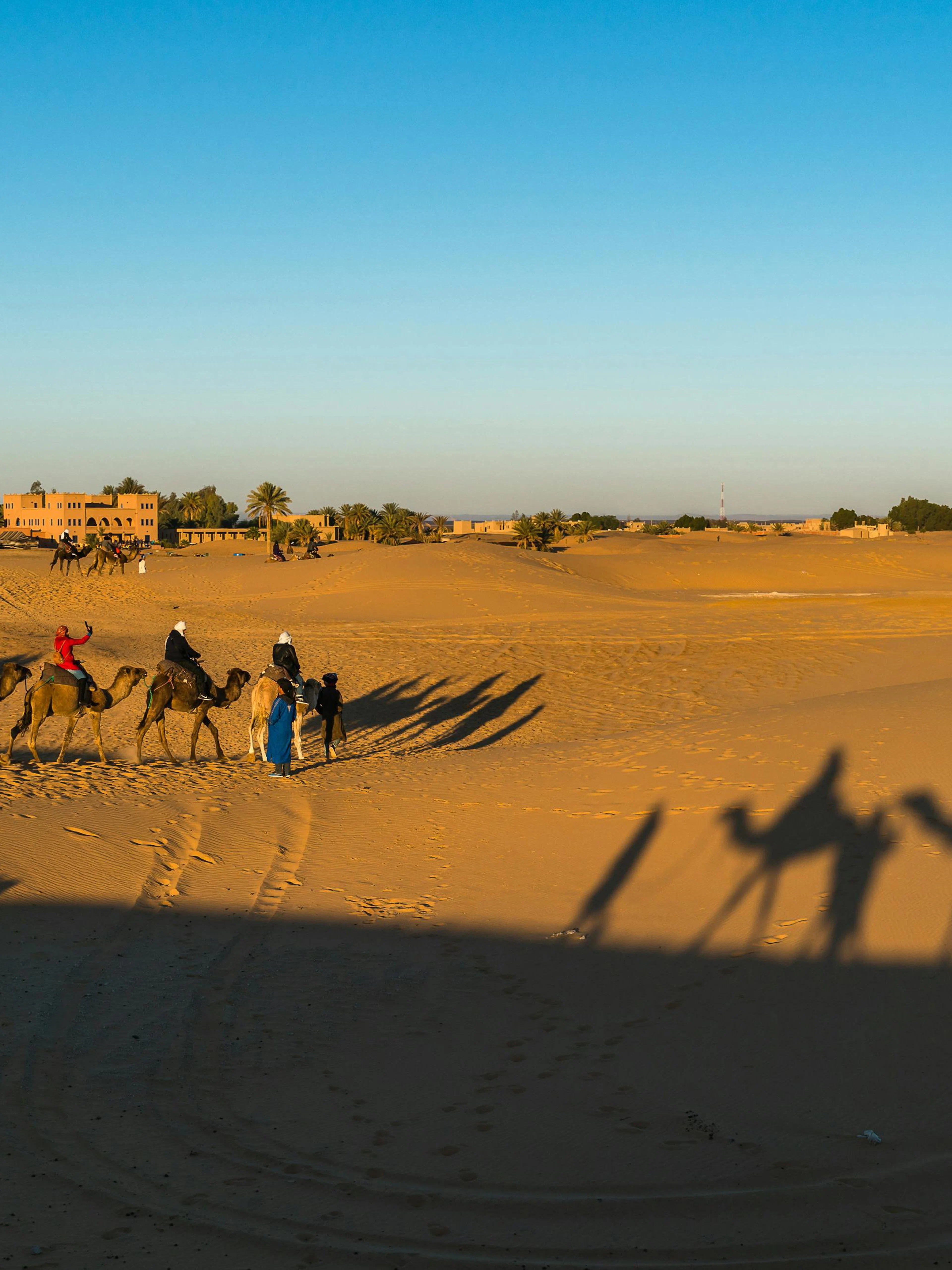 Camel caravan crossing Sahara desert near village.
