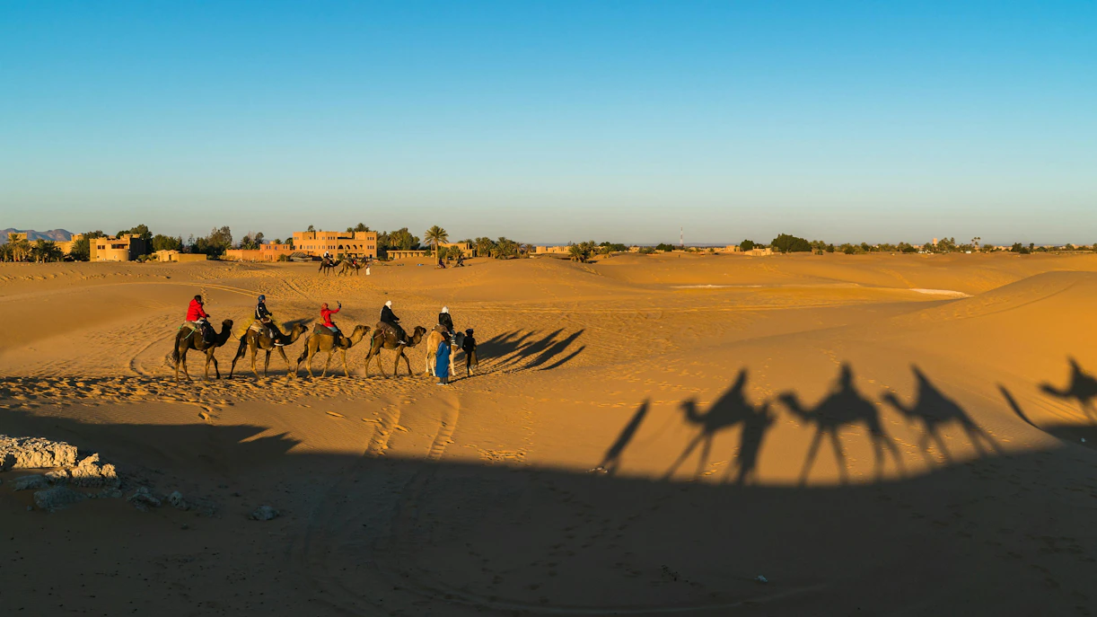 Camel caravan crossing Sahara desert near village.