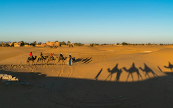Camel caravan crossing Sahara desert near village.