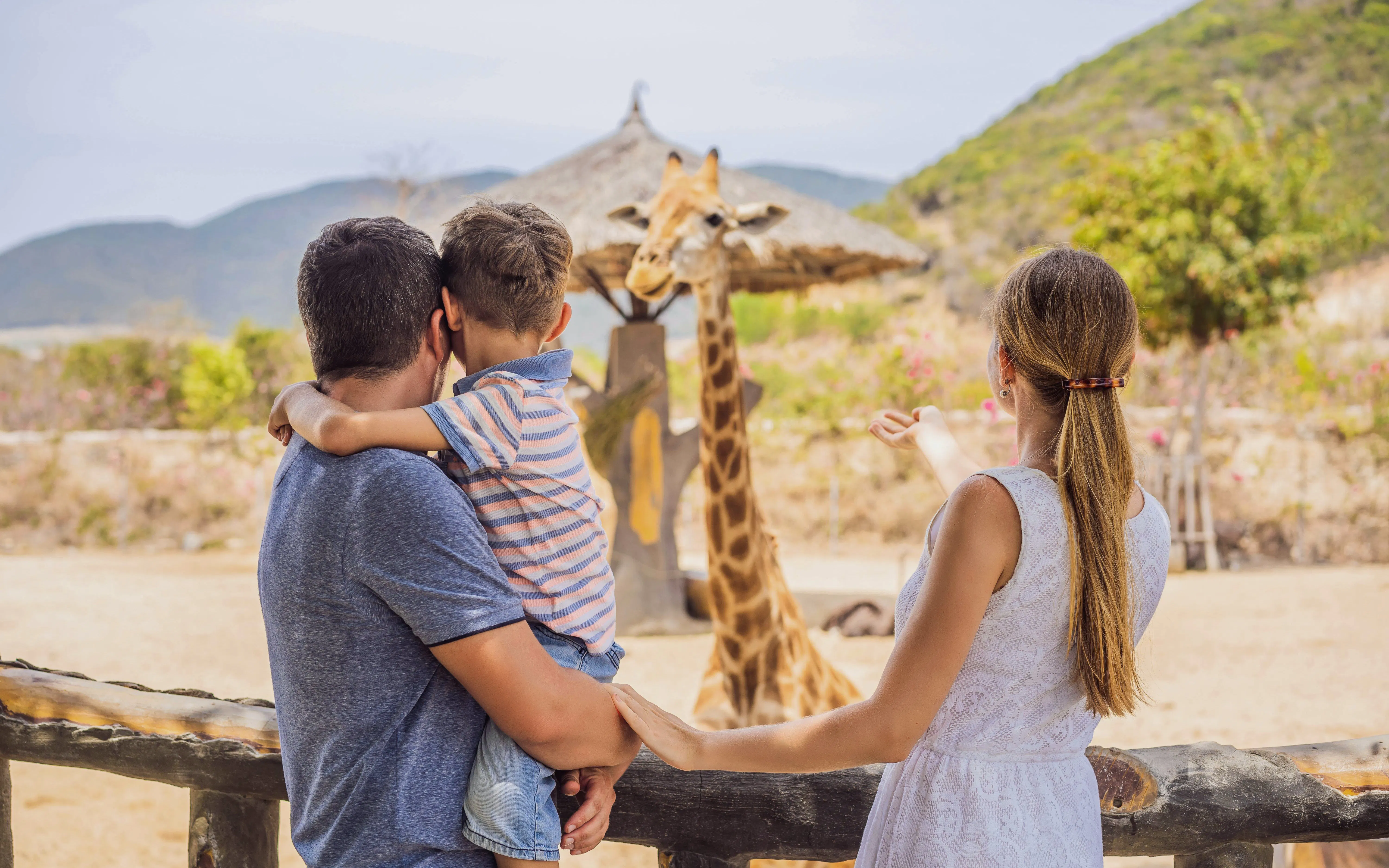 Family feeding giraffe at Zurich Zoo on a summer day.