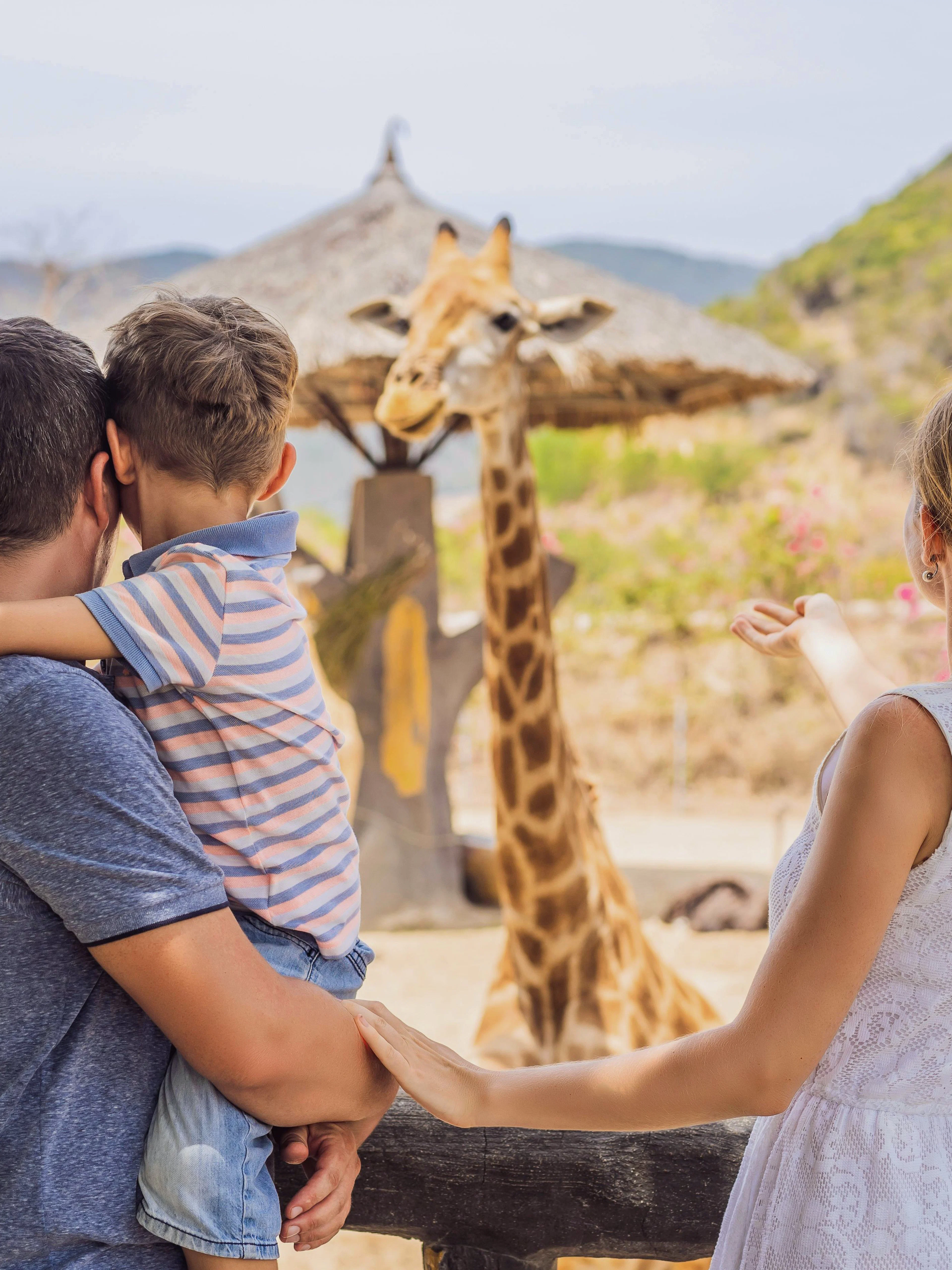 Family feeding giraffe at Zurich Zoo on a summer day.