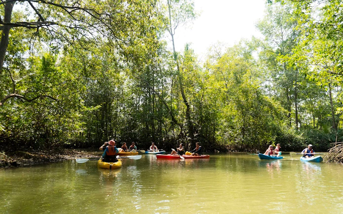 Kayakers exploring Damas Island mangrove estuary near Manuel Antonio.