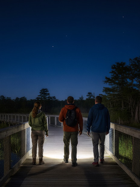 Visitors on a Gatorland flashlight tour walking on a boardwalk at night.