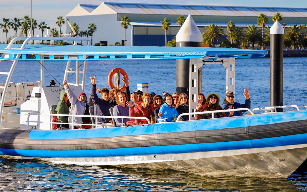 Group enjoying whale watching tour on a boat in Newcastle, Australia.