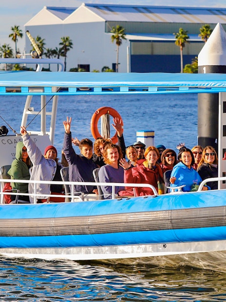 Group enjoying whale watching tour on a boat in Newcastle, Australia.