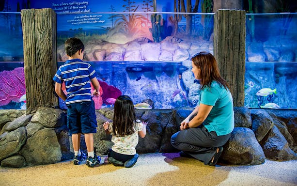 Children and adult observing fish at AquaDom & SEA LIFE Berlin.