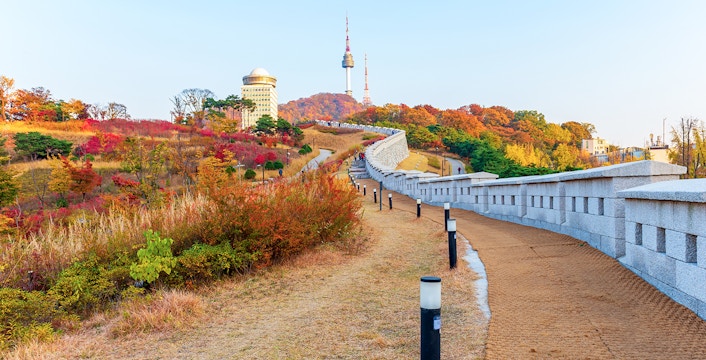 Pathway leading to N Seoul Tower surrounded by autumn foliage in Seoul, South Korea.