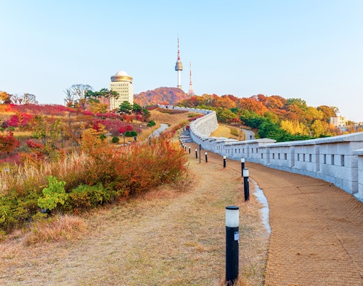 Pathway leading to N Seoul Tower surrounded by autumn foliage in Seoul, South Korea.