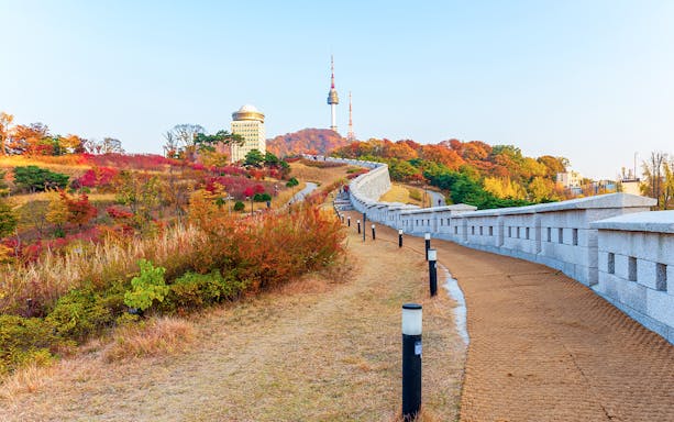 Pathway leading to N Seoul Tower surrounded by autumn foliage in Seoul, South Korea.