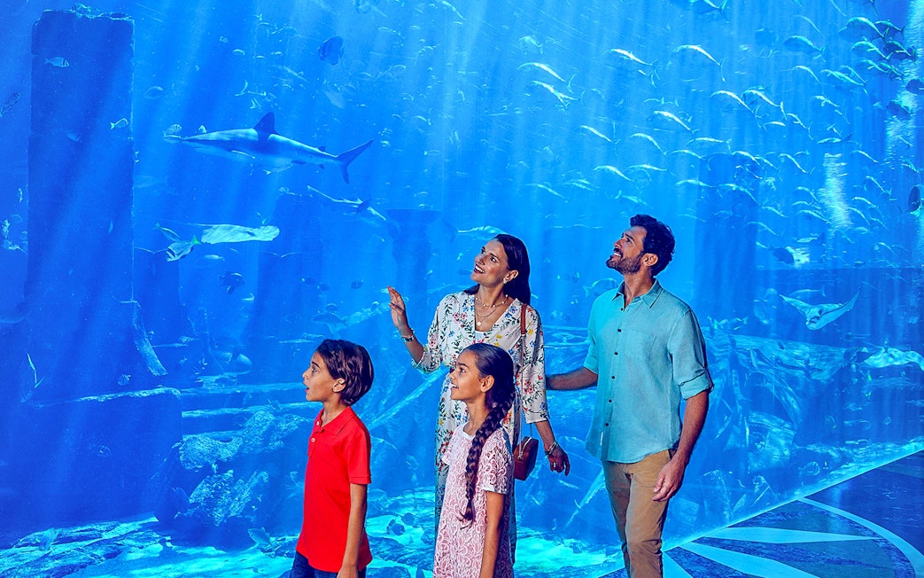 Family exploring Ambassador Lagoon Aquarium with marine life in view.
