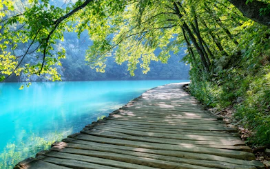 Footpath along turquoise lake in Plitvice Lakes National Park, Croatia.
