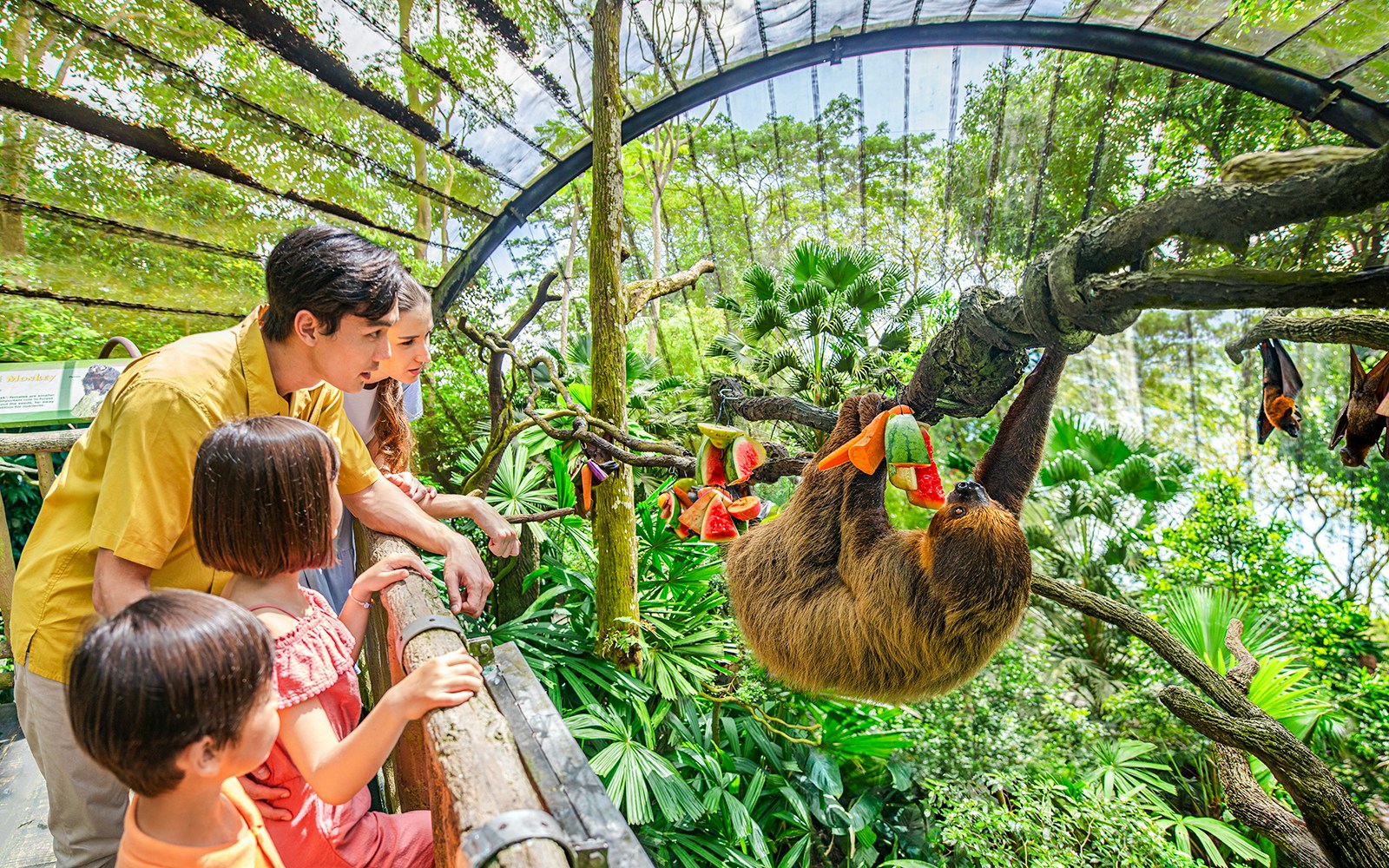 Guests observing a sloth at Singapore Zoo exhibit