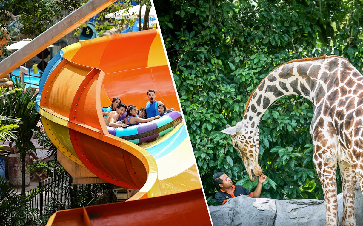 Visitors enjoying a water slide at Sunway Lagoon and a giraffe being fed at Zoo Negara.