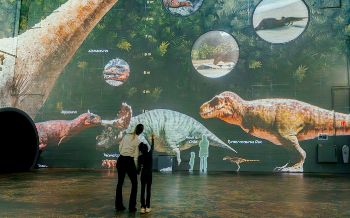 Visitors observing dinosaur projections at Dino Exhibition, Fabrique des Lumières.