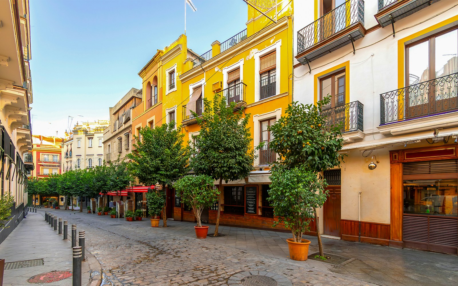Colorful street with trees and historic buildings in Seville, Spain.