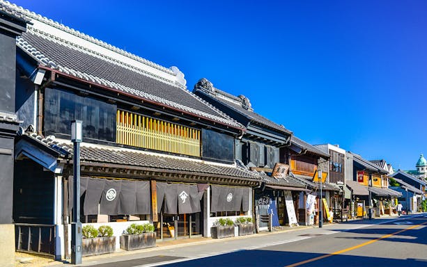 Traditional Japanese street near Seibuen Amusement Park, featuring historic wooden buildings.