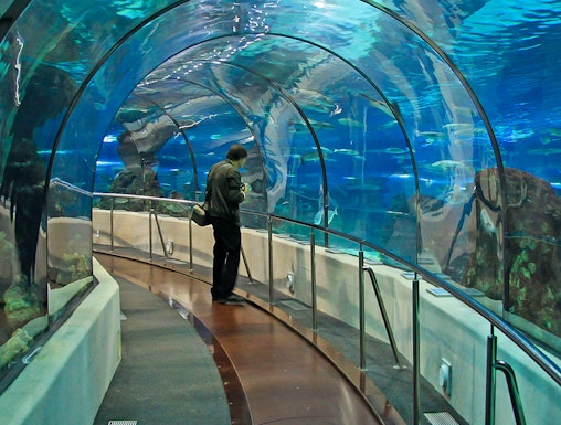 Barcelona Aquarium underwater tunnel with visitor walking through.