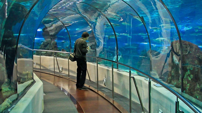 Barcelona Aquarium underwater tunnel with visitor walking through.