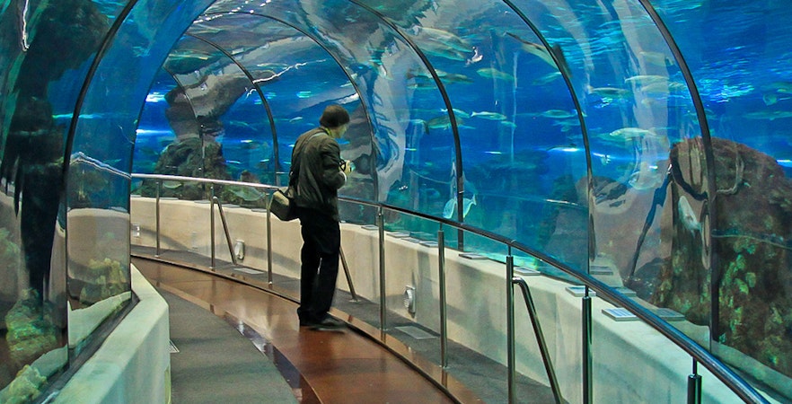 Aquarium Barcelona