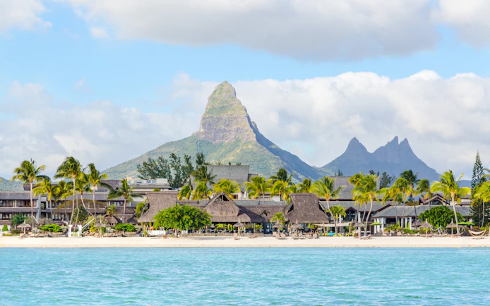 Beachfront view of Le Morne Brabant with palm trees at Flic en Flac, Mauritius.