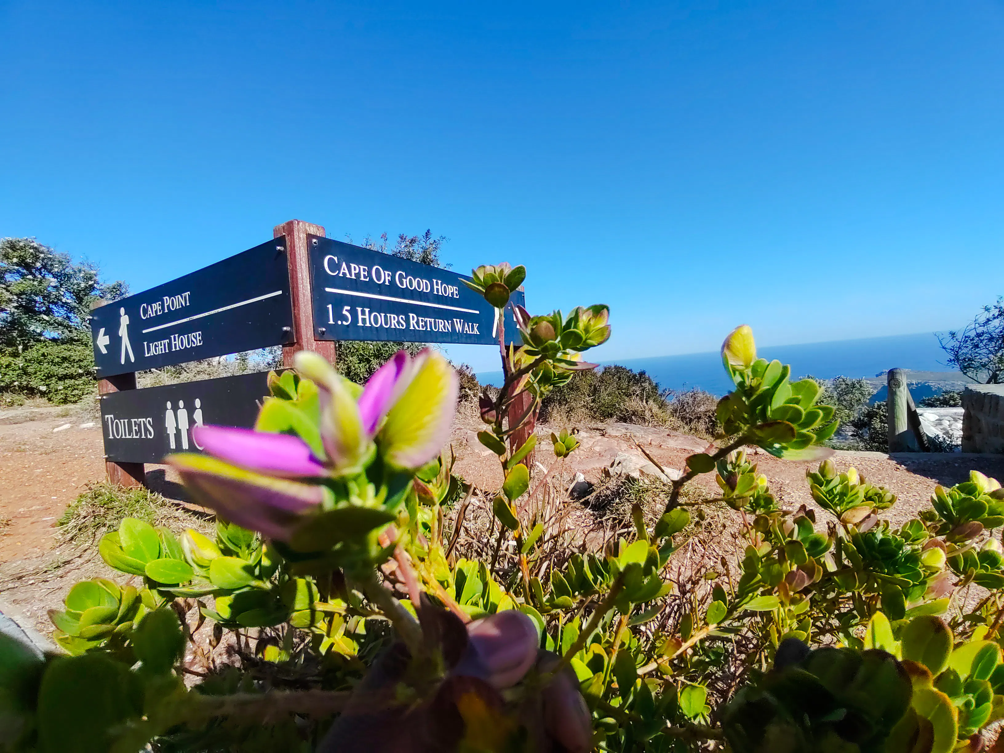 Cape Town Private Tour of Table Mountain, Cape of Good Hope and Boulders Beach Penguin Colony
