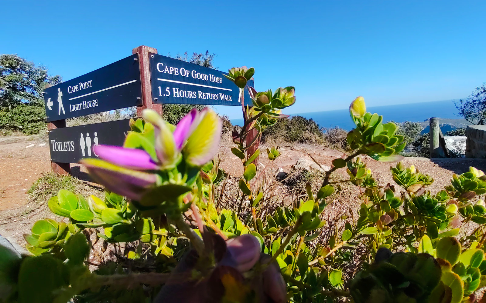Cape Town Private Tour of Table Mountain, Cape of Good Hope and Boulders Beach Penguin Colony