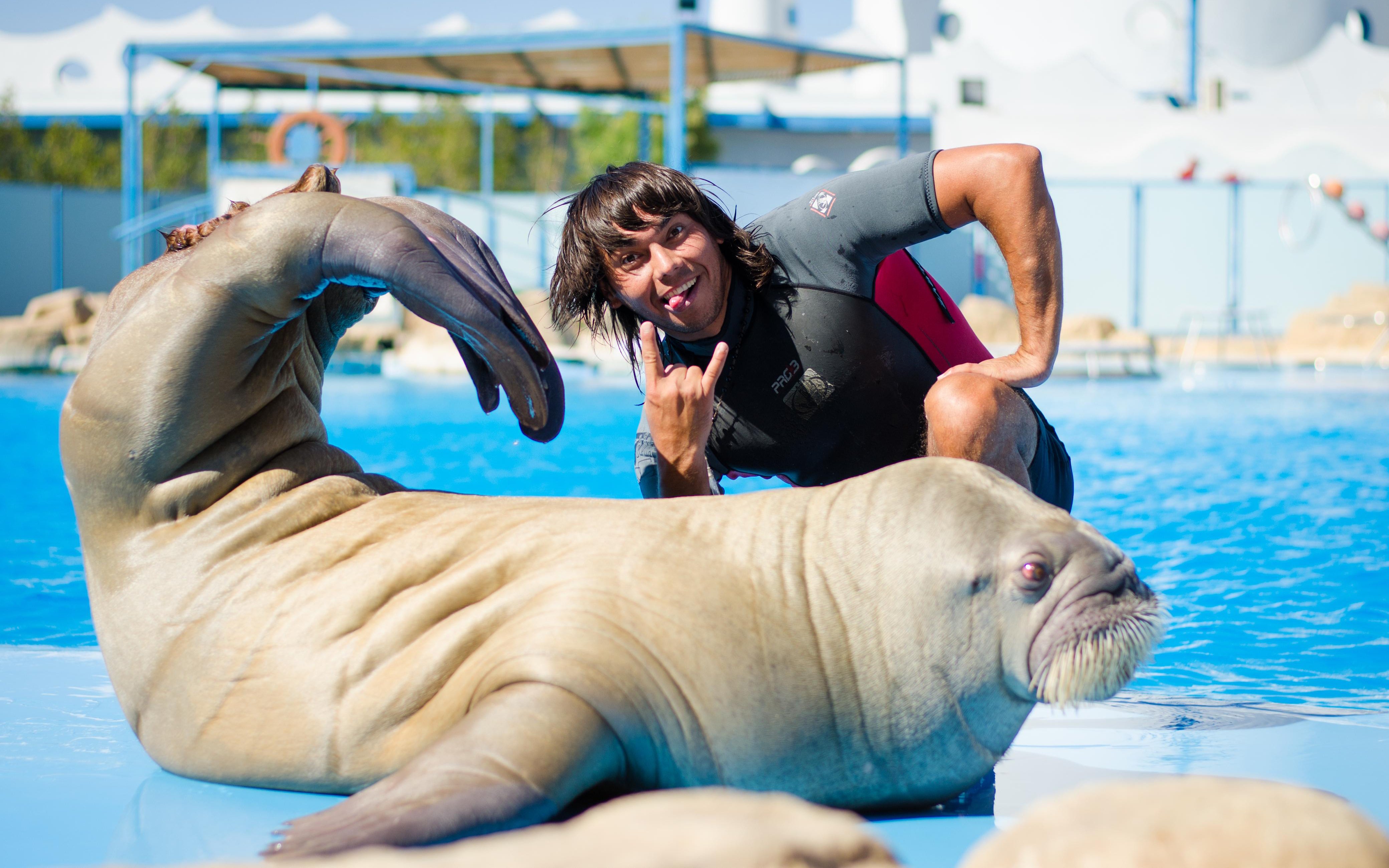 Person posing with walrus at Hurghada Dolphin Show, Egypt Dolphin World.