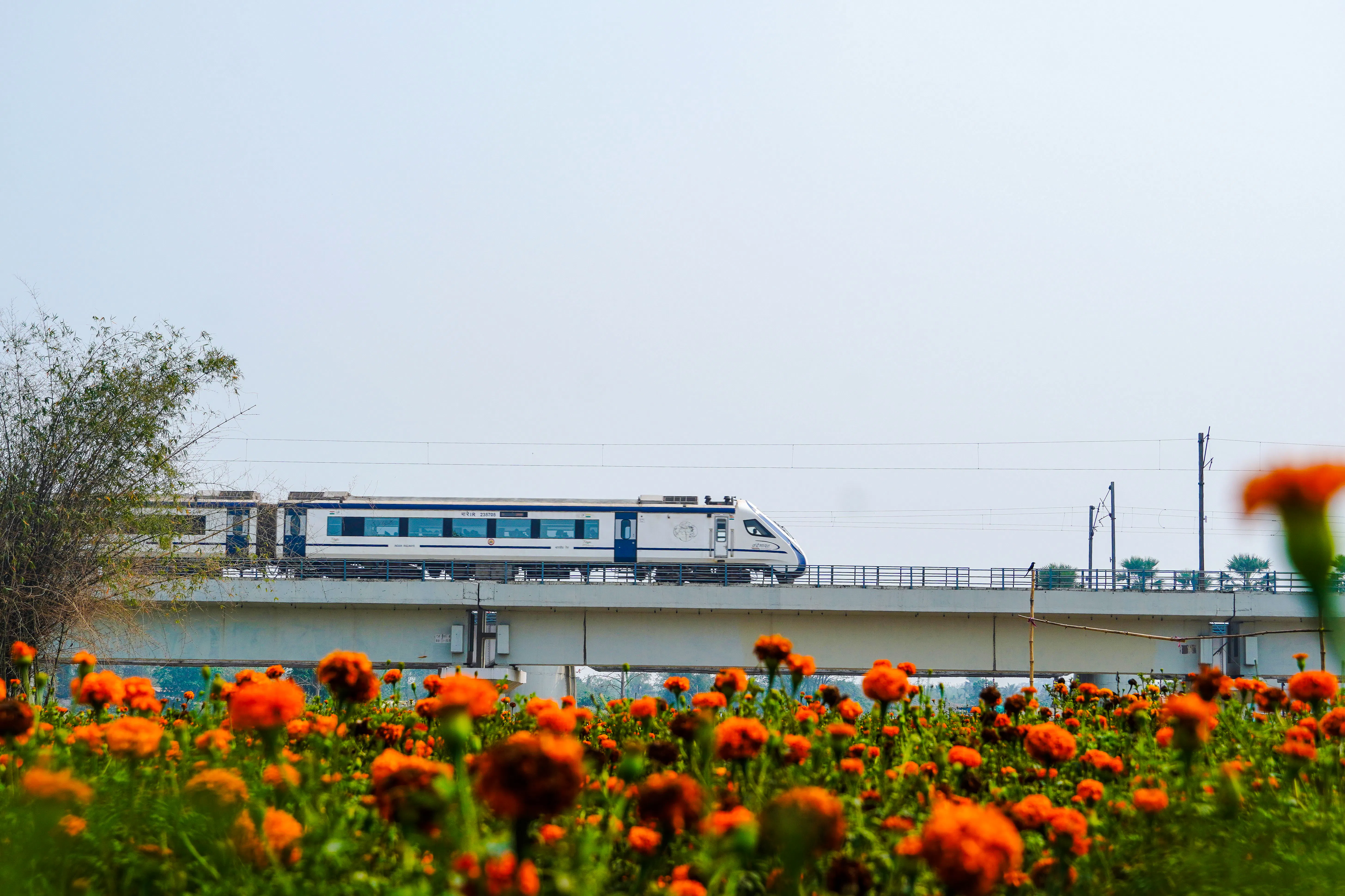 From Delhi: Taj Mahal and Agra Day Trip by Express Train