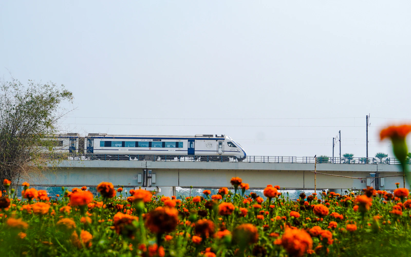 From Delhi: Taj Mahal and Agra Day Trip by Express Train
