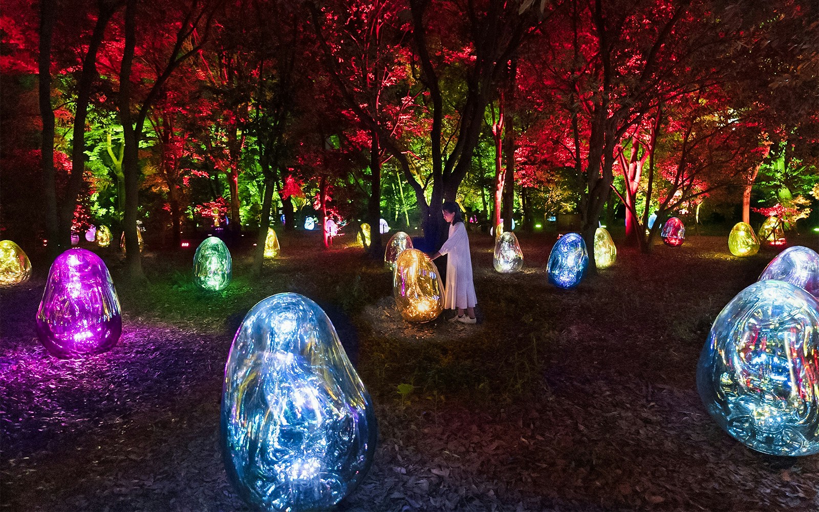 About TeamLab Botanical Garden