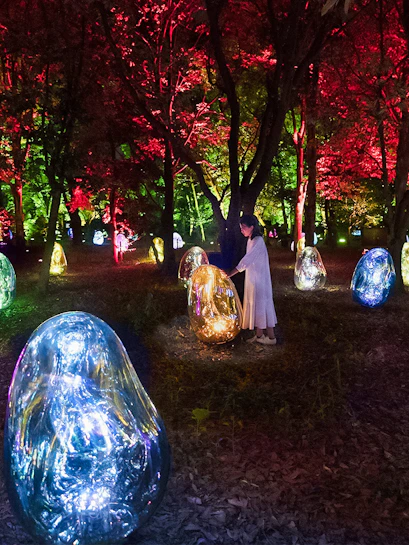 teamLab light installation at Osaka Botanical Garden with colorful digital art displays.