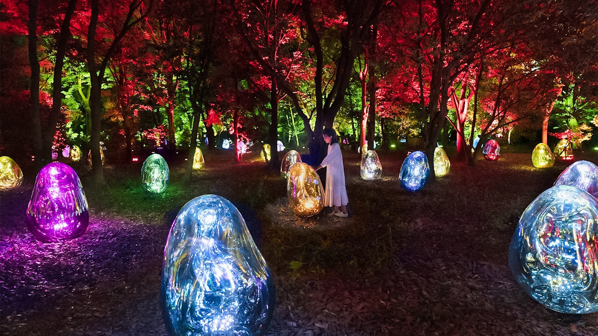 teamLab Botanical Garden, Osaka