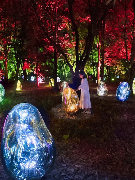 teamLab light installation at Osaka Botanical Garden with colorful digital art displays.