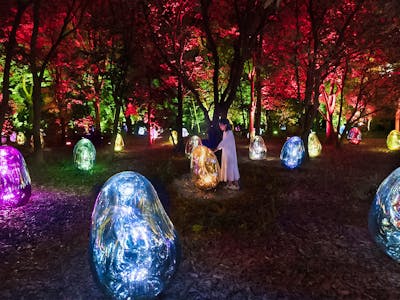 TeamLab Botanical Garden