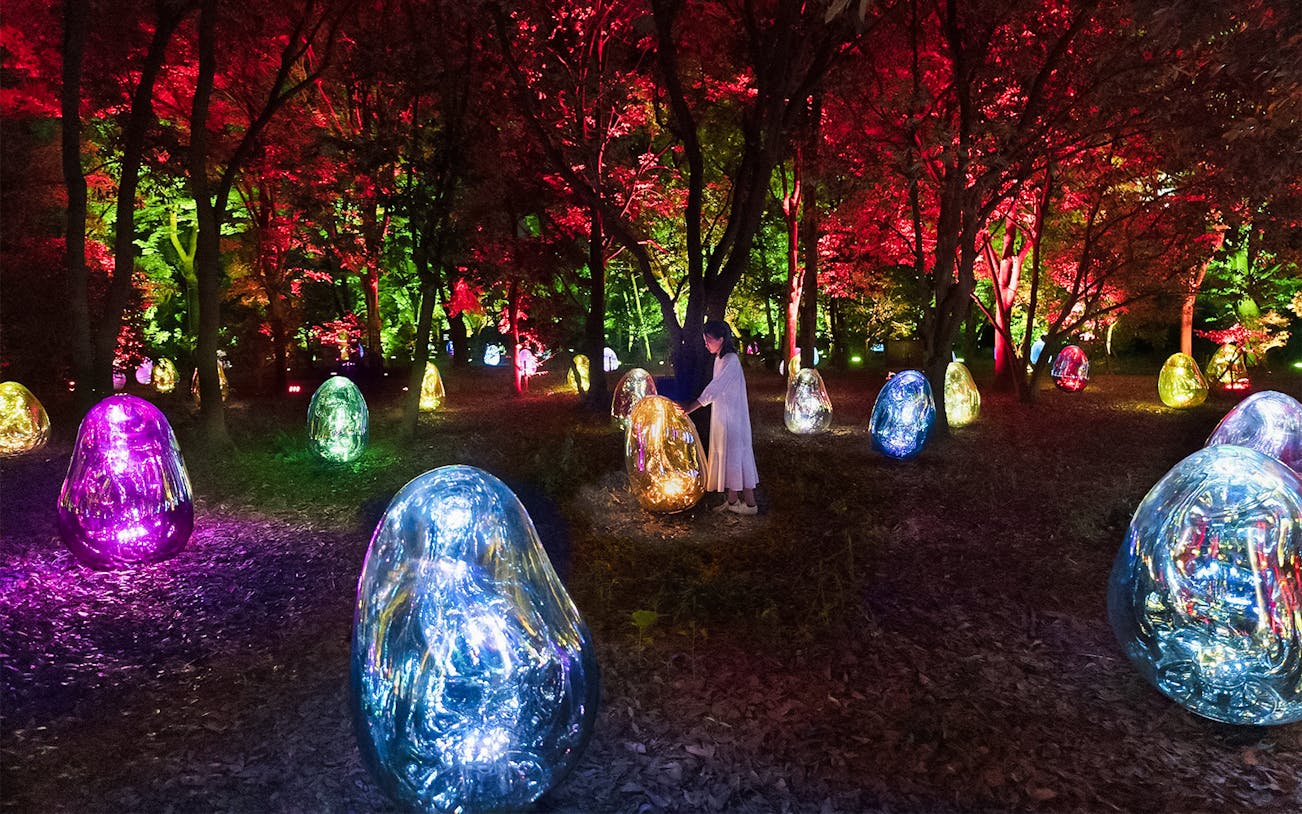 teamLab light installation at Osaka Botanical Garden with colorful digital art displays.