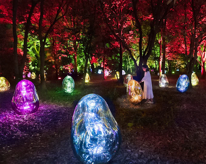 Tickets to teamLab Botanical Garden in Osaka