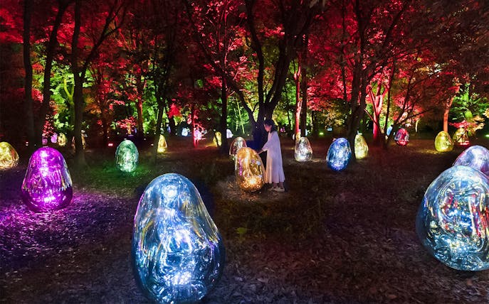 teamLab light installation at Osaka Botanical Garden with colorful digital art displays.
